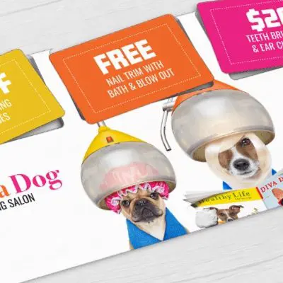 Dog Grooming Salon oversize direct mail plastic postcard with three break-off discount cards