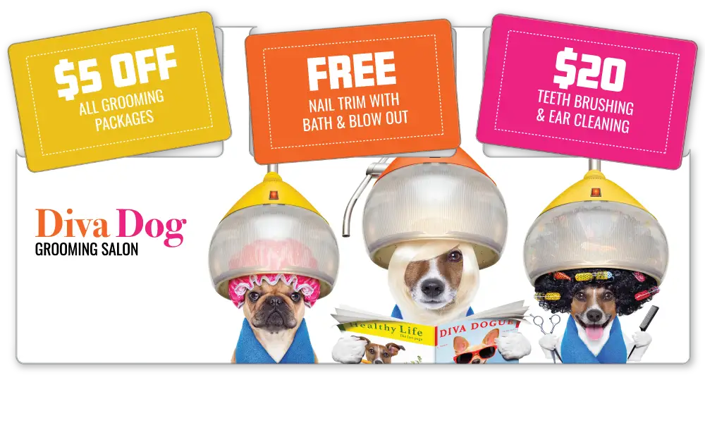 Dog Grooming Salon AcclaimMailer™ extra large direct mail plastic postcard featuring three detachable offer cards.