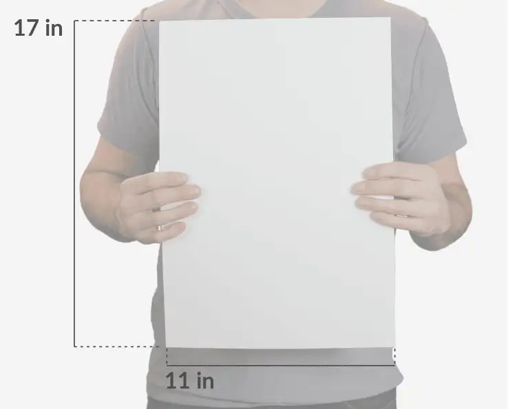 Menu measurements