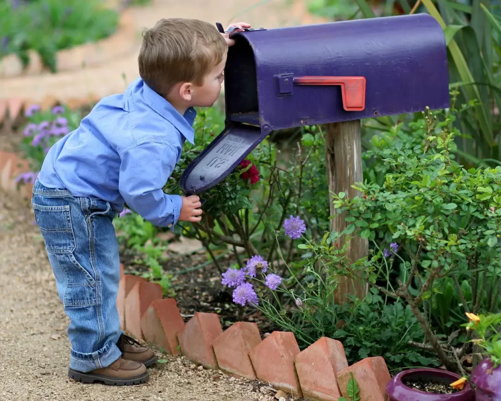 Little boy looking in mailbox.