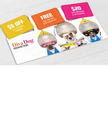 Dog Grooming Salon oversize AcclaimMailer™ direct mail plastic postcard with three break-off discount cards