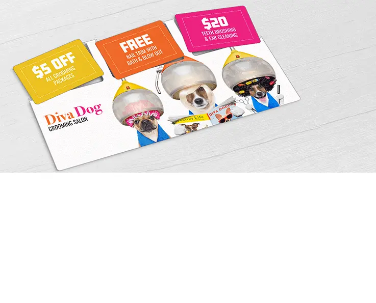 Dog Grooming Salon oversize AcclaimMailer™ direct mail plastic postcard with three break-off discount cards